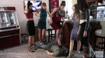 5 girls trampling party in a bar adult porn video